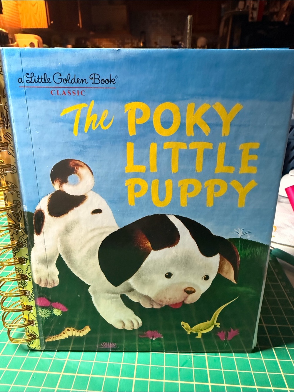 📚✨ LITTLE GOLDEN BOOKS — REIMAGINED! ✨📚